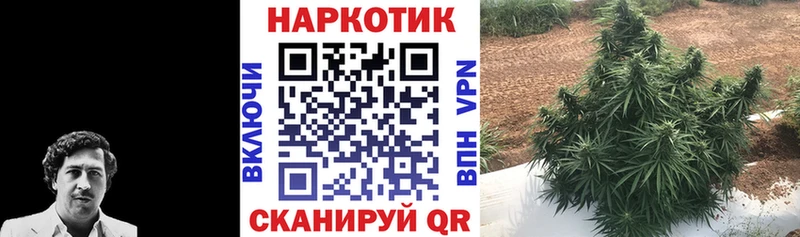 Купить Гашиш  Псилоцибиновые грибы  Меф мяу мяу  МАРИХУАНА  Cocaine  A PVP  Инта