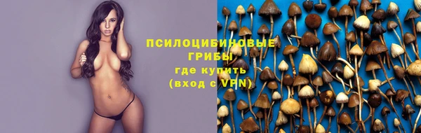 прущий лед Елизово