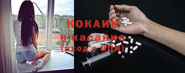 мет Елабуга