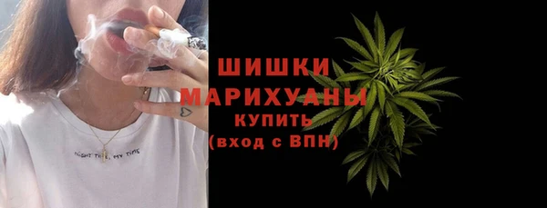 тгк Дмитровск