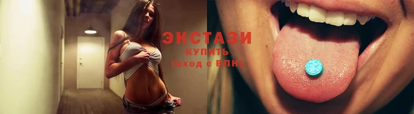 винт Ельня