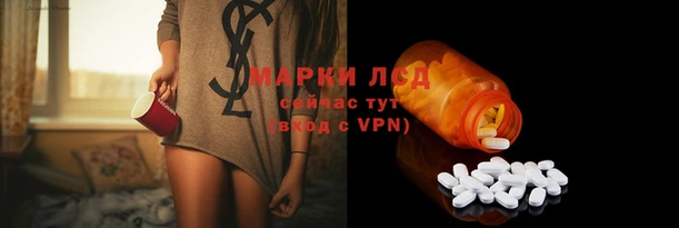 тгк Дмитровск