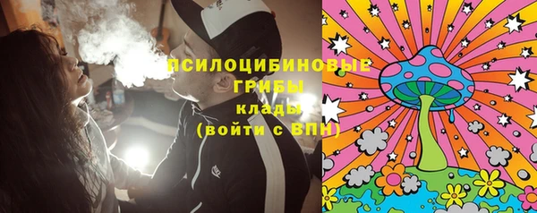 винт Ельня