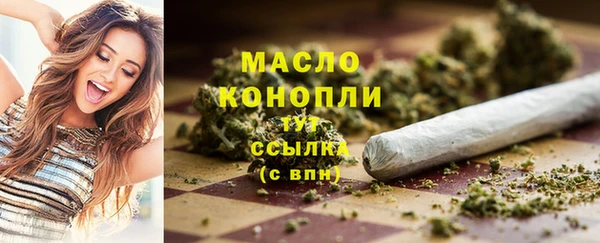 мет Елабуга