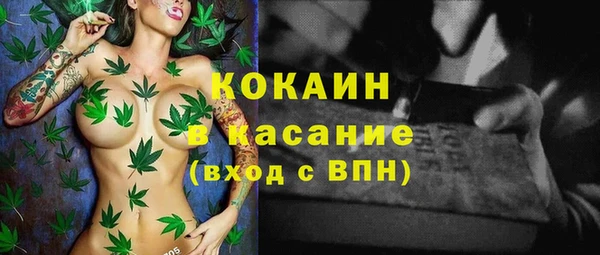 винт Ельня