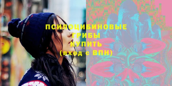 прущий лед Елизово